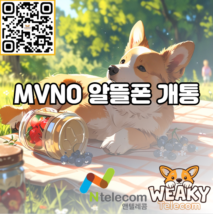  MVNO 알뜰폰 개통 와이파이와 유심만 있으면 5분으로 충분합니다!