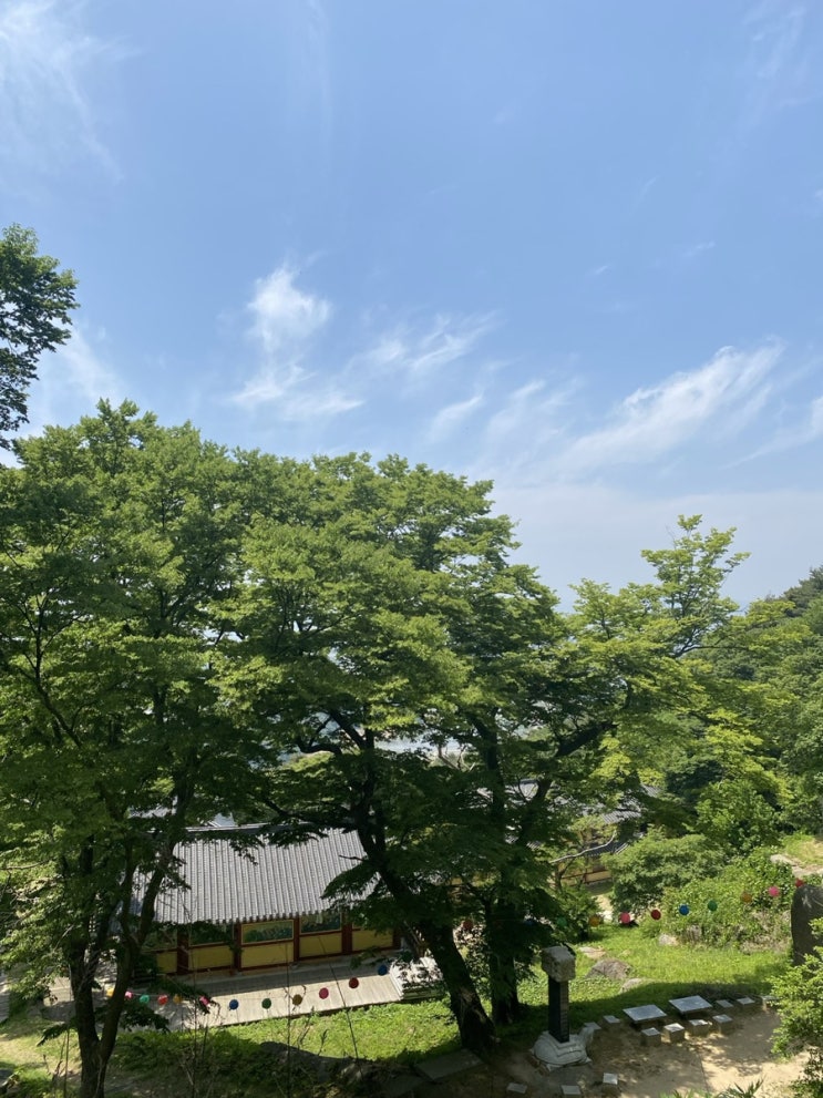  평일 낮에는 서산 부석사 가보기