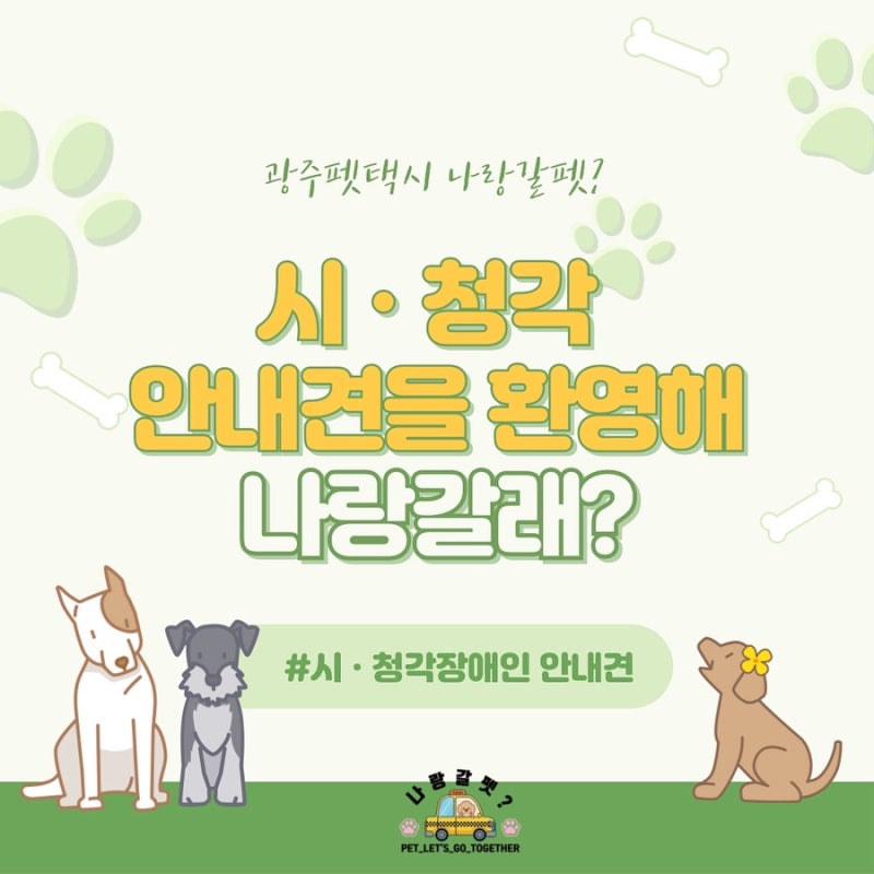사진 3