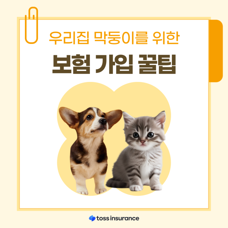  펫보험 비교 펫보험 추천 : 요즘 핫한 펫보험 보장 금액