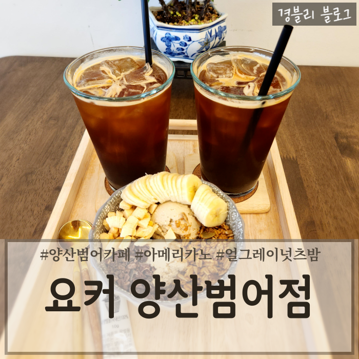  양산범어카페 양산그릭요거트 베이글맛집 양산 디저트 추천 '요커 양산범어점'
