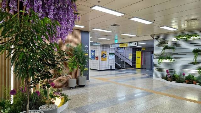  지하철 타다 숲속 산책? 서울 보라매역에 ‘아래숲길’ 생겼다 [한국철도일보]