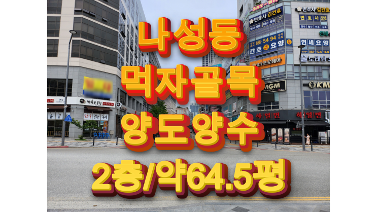  세종시 상가 양도양수 나성동 먹자골목 홍보효과 뛰어남