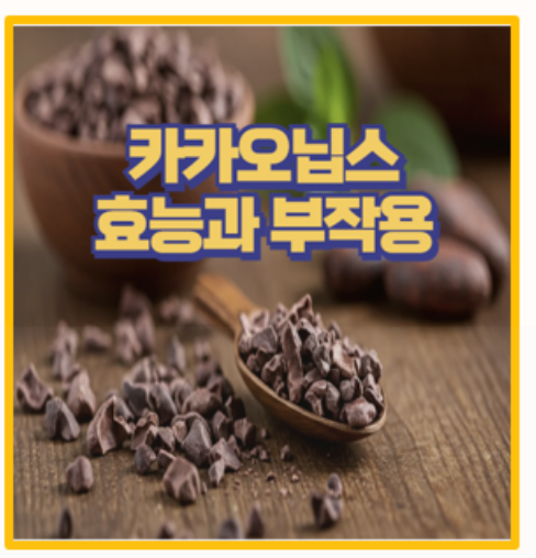  찐 다이어트 효과 카카오닙스 먹는 법과 칼로리까지 직접 섭취 후기 공개