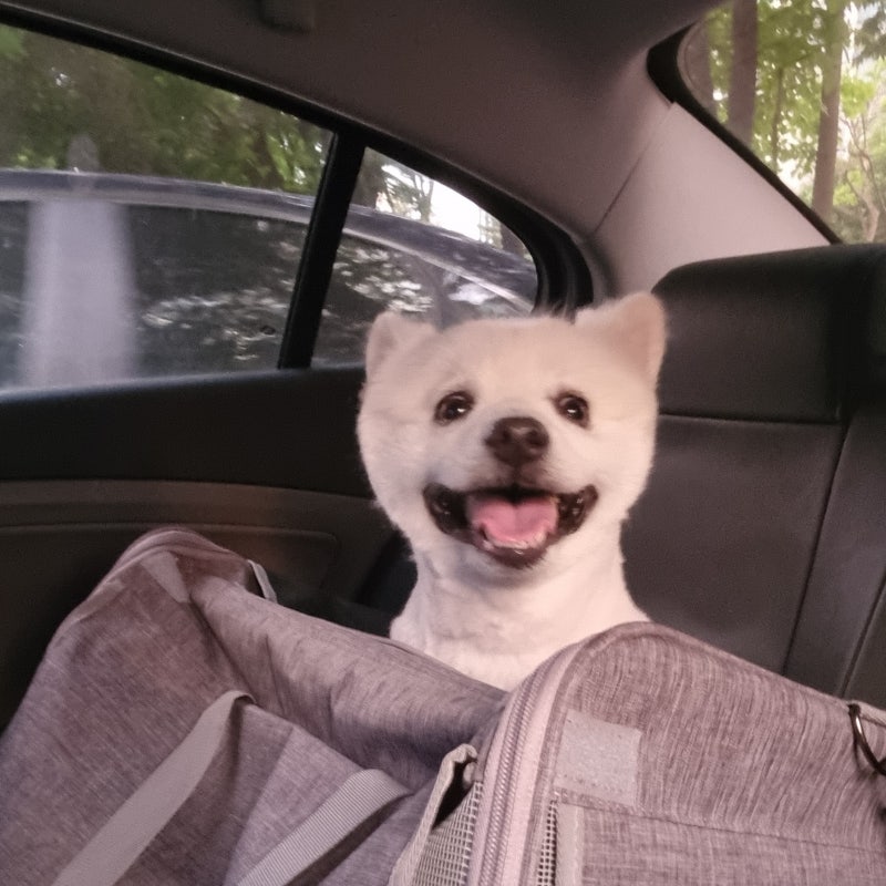 잘해줄게 — 강화군