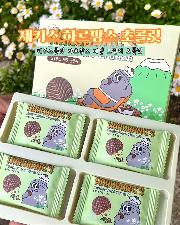  제주초콜릿 선물 디저트 제키스 하르방스초콜릿 메밀크런치