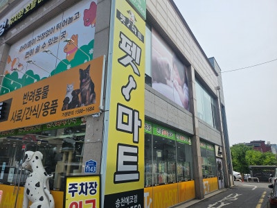 사진 3