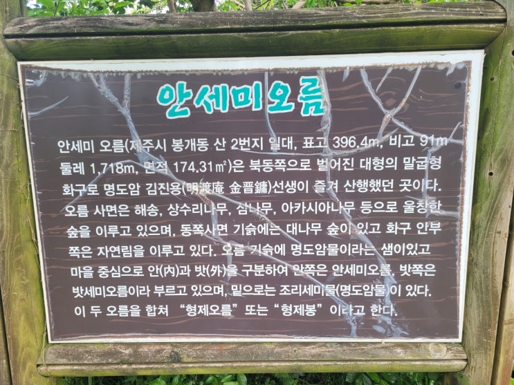  《제주도가볼만한곳》  제주오름 봉개동 안세미오름, 주차 정보