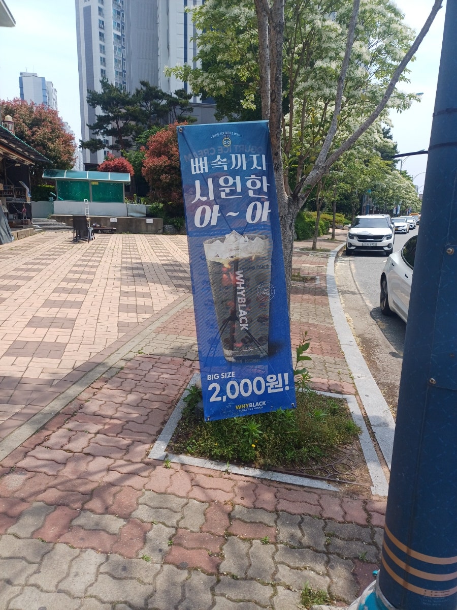 와이블랙 사진 2