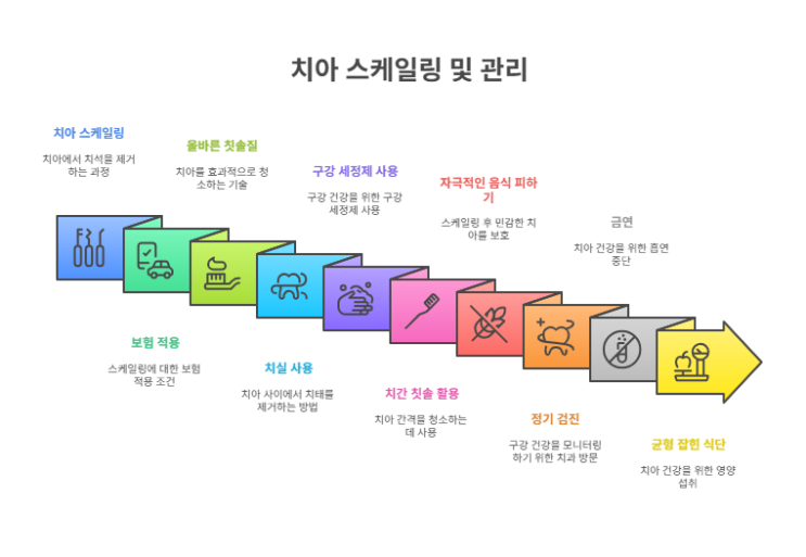  "치아 스케일링 완전 가이드"