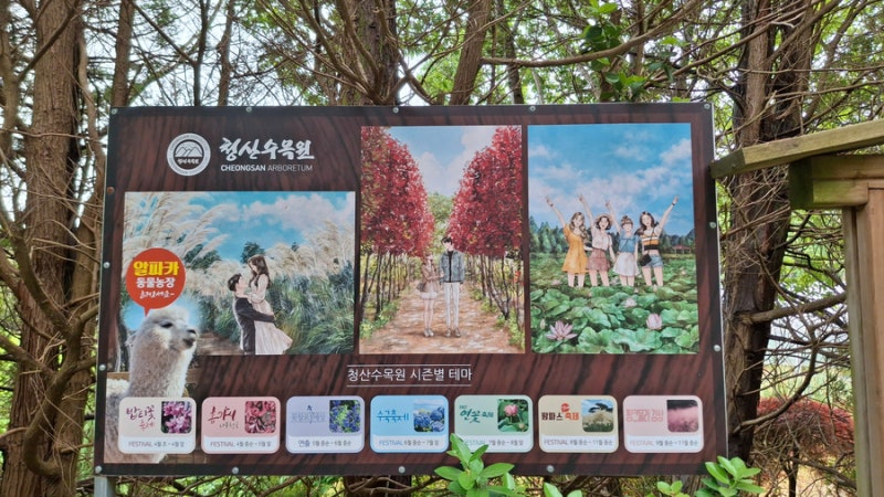 사진 3