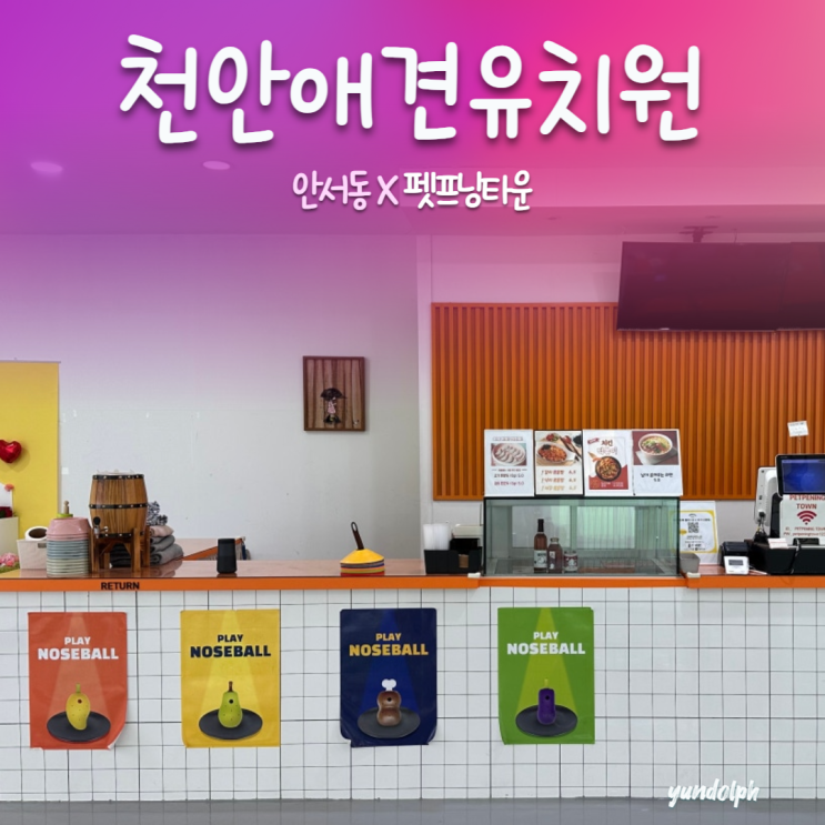  [천안애견유치원] '펫프닝타운'에서 반려견 1:1 행동교정 체험기