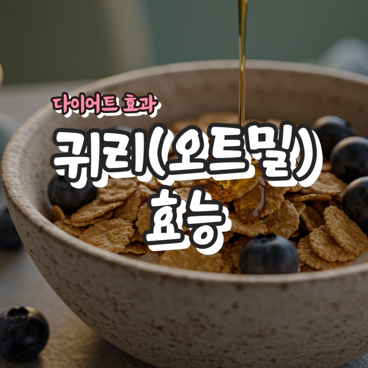  귀리(오트밀) 효능과 다이어트 효과