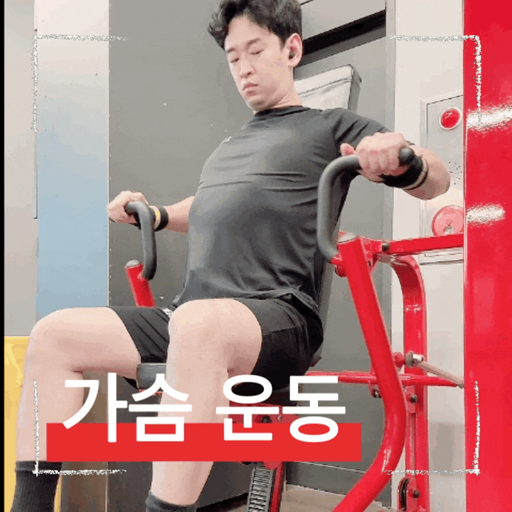  헬스 초보도 OK! 머신 3종으로 완성하는 가슴 운동 루틴 및 포인트