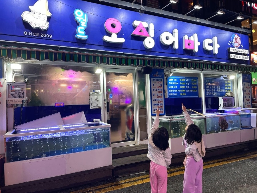 월드오징어바다 성균관대점 사진 1