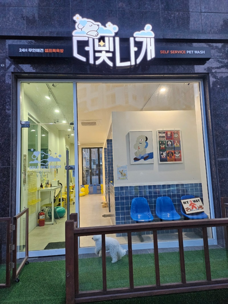 사진 4
