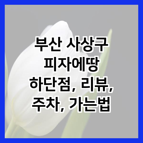 피자에땅 하단점