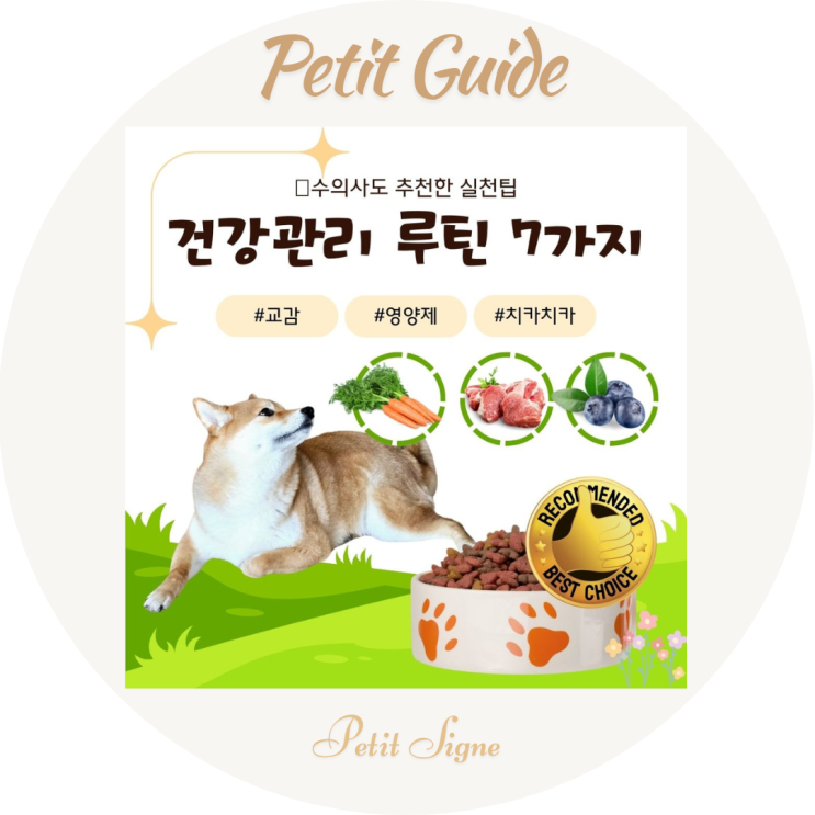  2025년 반려동물 건강관리 루틴 7가지｜수의사도 추천한 실천팁
