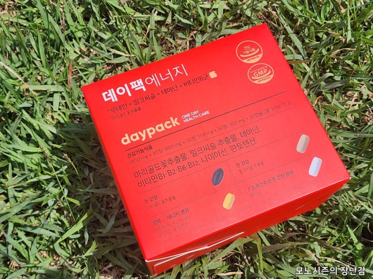  직장인 밀크씨슬 간 영양제 루테인 데이팩 에너지 솔직한 후기