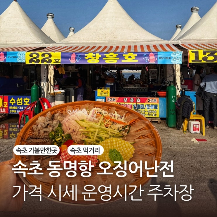  속초 동명항 오징어난전 5월 가격 시세 기간 시간 현지인추천