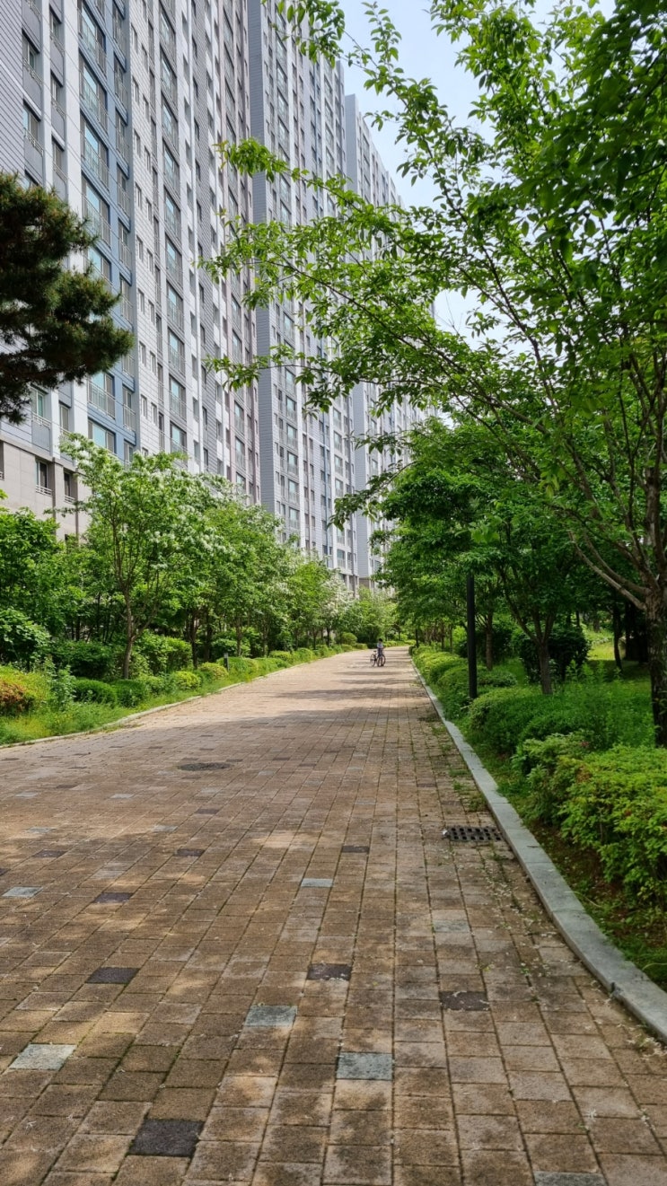  아주 독립적인 드라이브