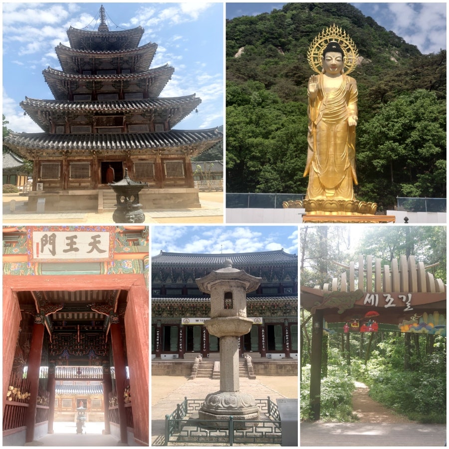 모모커피 청평점 사진 2
