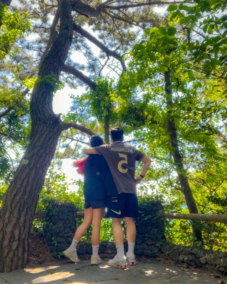  난이도 낮은 제주 산책로 추천, 제주 올레길 6코스 반짝 둘러보기!