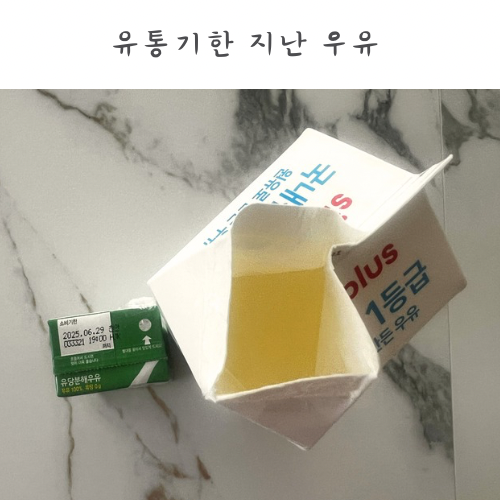 유통기한 3일 지난 우유 먹어도 되는지 멸균우유 팩우유 소비기한 지난 우유 활용법