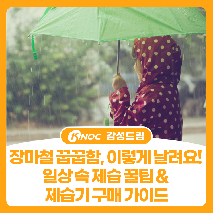  장마철 꿉꿉함, 이렇게 날려요! 일상 속 제습 꿀팁 & 제습기 구매 가이드