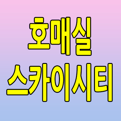  수원 호매실 스카이시티 오피스텔 금곡동 미분양 투룸 3룸 분양가 모델하우스