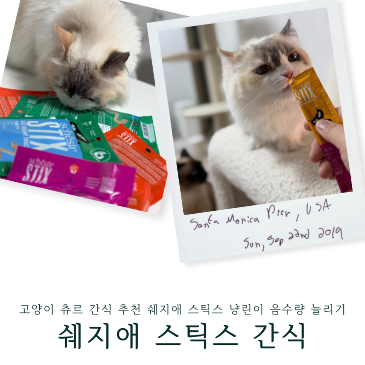 고양이 츄르 간식 추천 쉐지애 스틱스 냥린이 음수량 늘리기 최애간식
