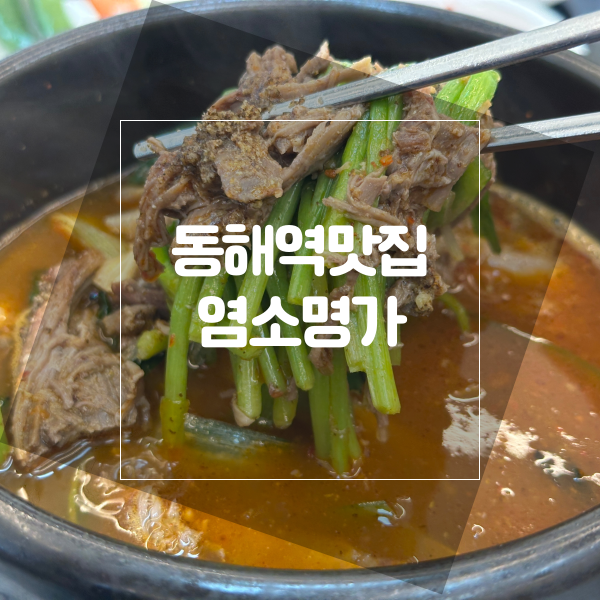  동해역맛집 염소명가 환절기 추천 음식 염소탕 식사후기