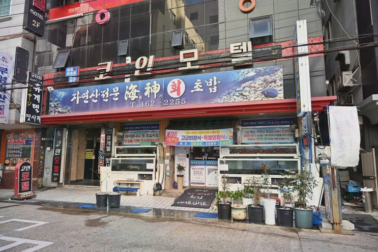  [맛집리뷰] 해신자연산횟집, 신선한 해산물과 친절한 서비스, 부산역맛집