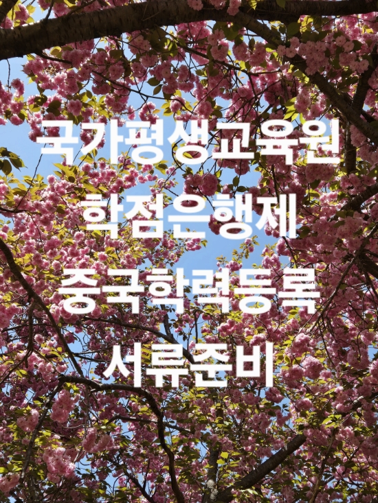  국가평생교육원 학점은행제 중국학력 학습자등록