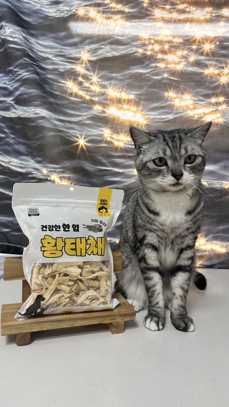  고양이 강아지 원물 간식 추천 (펫더맨 황태채)
