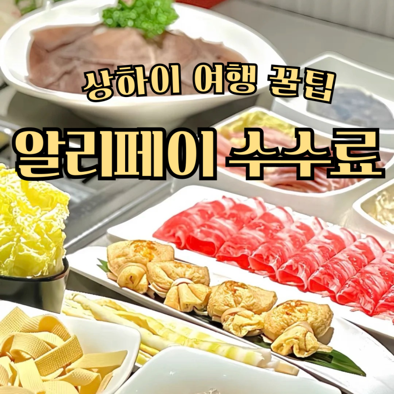 상하이 알리페이 수수료 피하는 법｜카카오페이 잘못된 정보! 여행 전 꼭 확인할 팁
