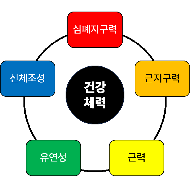  [길동 헬스장] 운동에도 방향이 있다! 건강체력 vs 기능체력