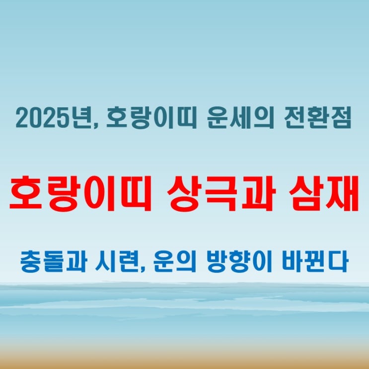  2025년 호랑이띠 상극띠와 삼재가 겹칠 때 나타나는 운세 변화
