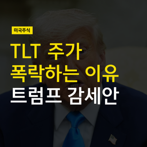TLT ETF 주가 폭락하는 이유 (feat <b>트럼프 감세안</b>, 미 재정... 