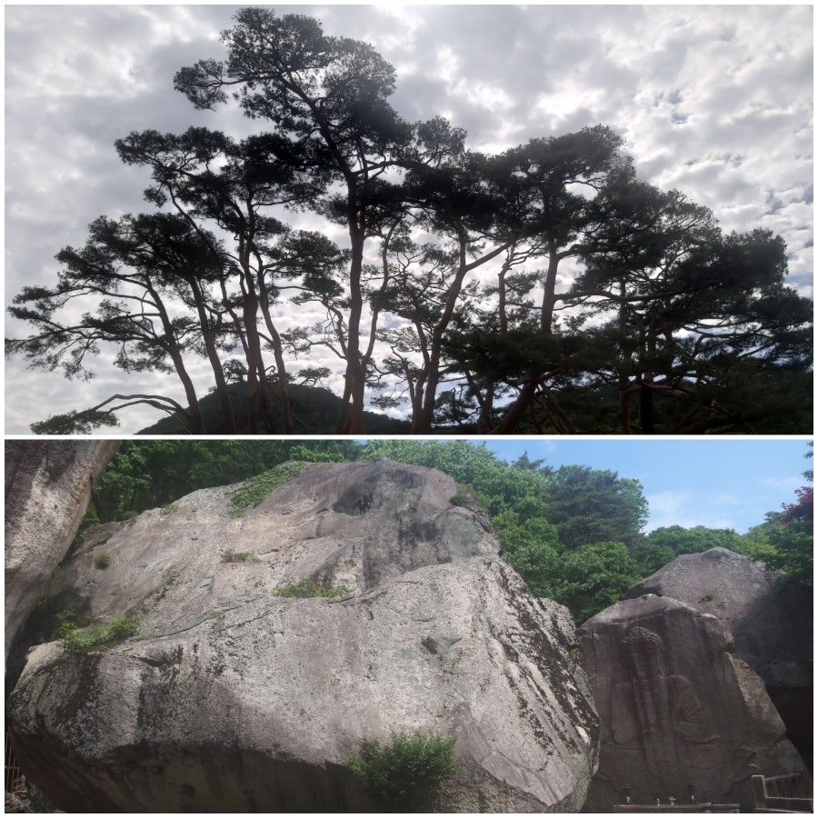 모모커피 청평점 사진 1