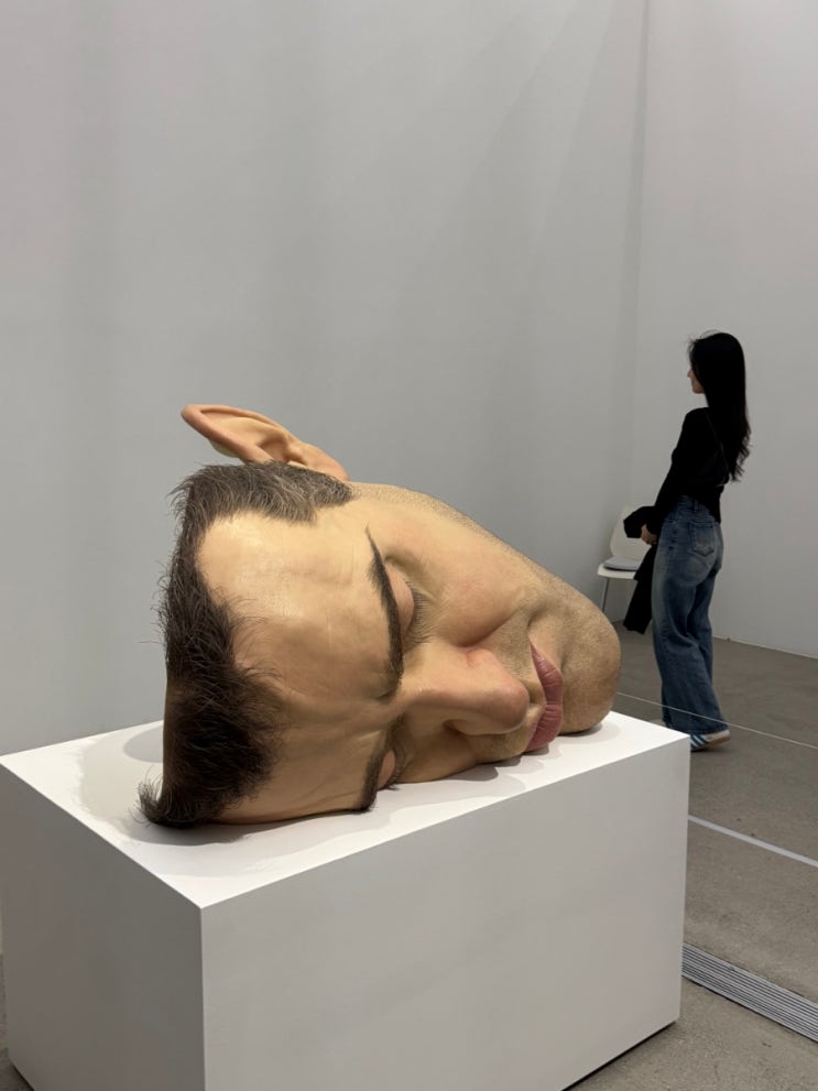  론 뮤익(Ron Mueck) 작품 설명 해석 모음:: 극사실주의 현대미술