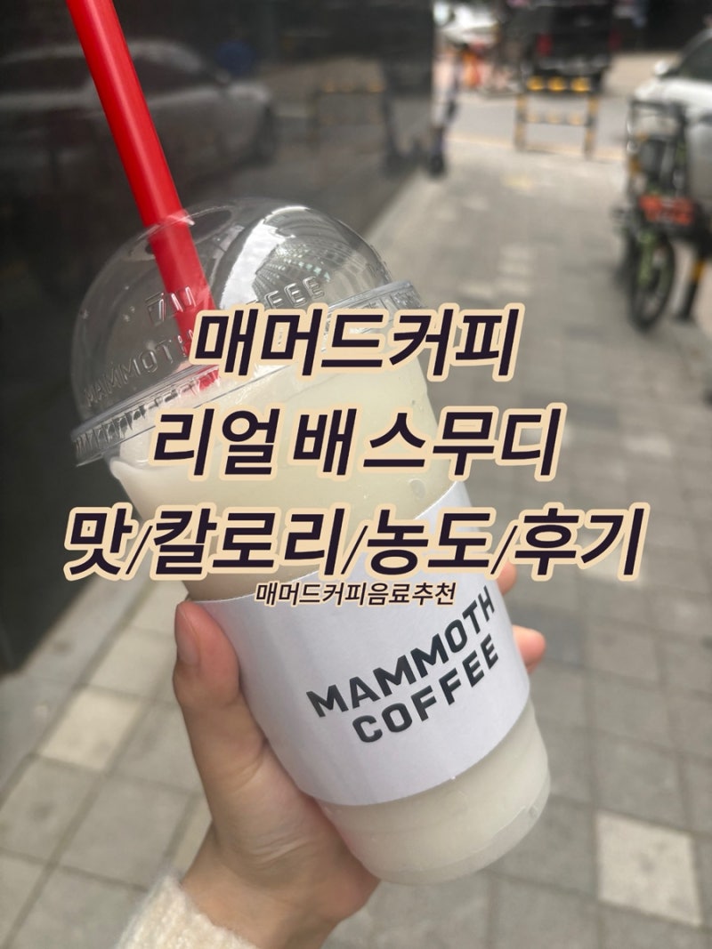 매머드음료추천]New 리얼 배 스무디 칼로리|맛 후기|내돈내산 #맘모스커피 : 네이버 블로그