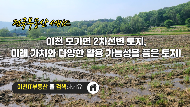  이천 모가면 2차선변 토지, 미래 가치와 다양한 활용 가능성을 품은 토지! (이천IT부동산)