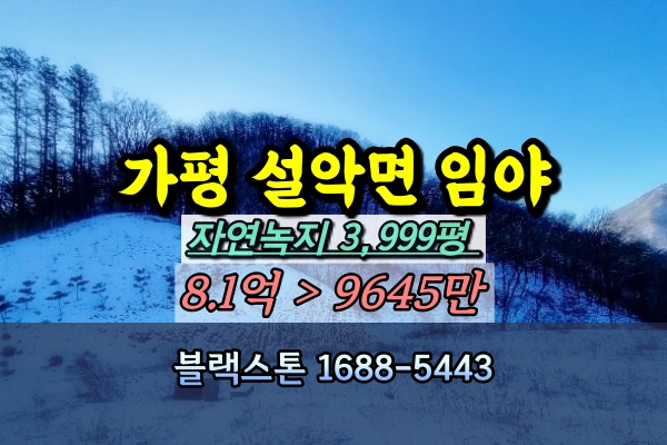  가평군 설악면 임야4천평 경매 1억