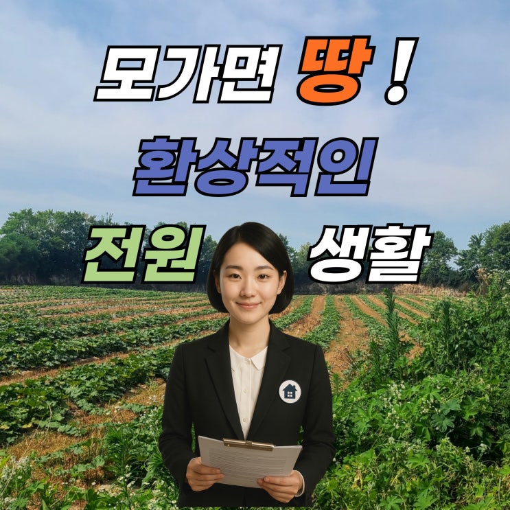  이천 모가면 토지 투자 기회! 계획관리지역 토지로 미래 가치 선점 (매매가 4억원, 이천IT부동산)