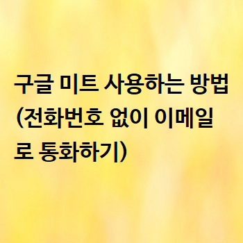  구글 미트 사용하는 방법 (전화번호 없이 이메일로 통화하기)