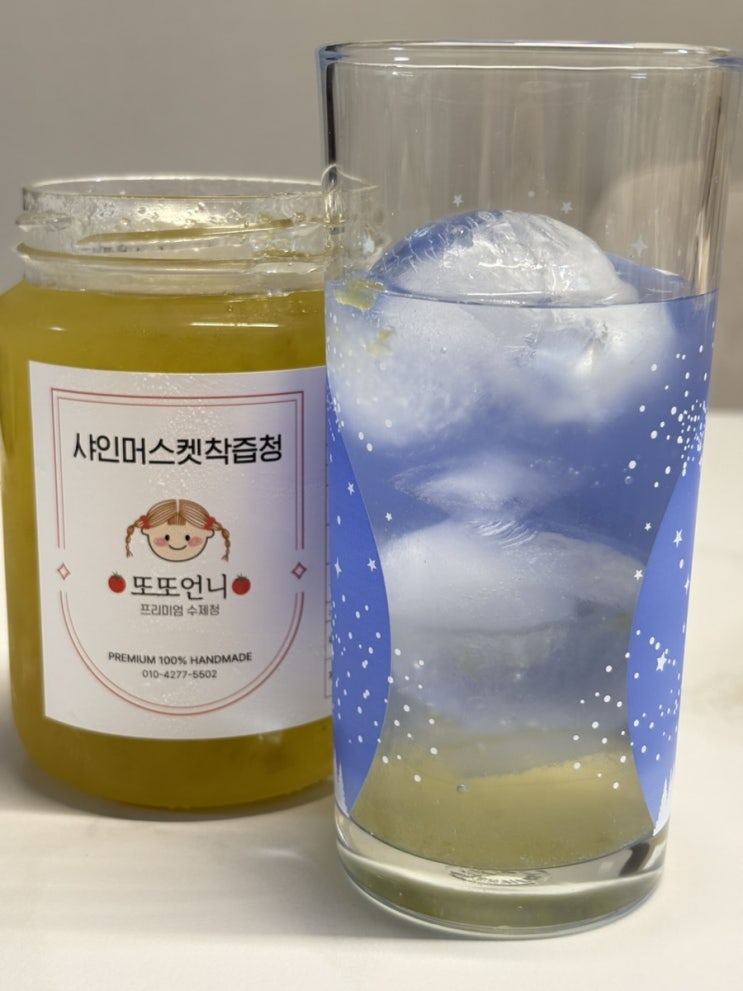  수제과일청 샤인머스켓청 자몽칩 또또언니수제청