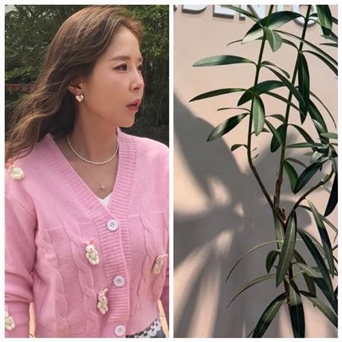  “내 삶인데 왜들 그래?”… 신지, 눈·타투·치아교정까지! 세상 시선에 흔들리지 않는 당당한 변화 선언