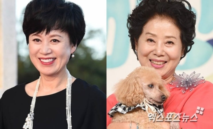 <b>박미선</b>, <b>선우용여</b> 유튜브 통해 <b>근황</b> 포착