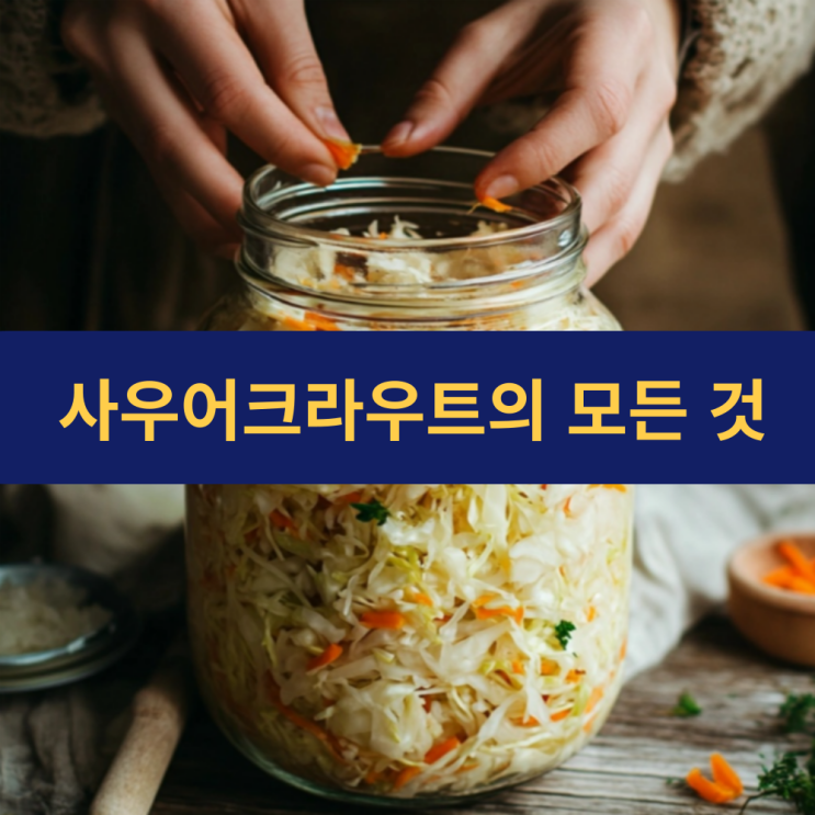  사우어크라우트 효능 | 사우어크라우트 만들기 | 사워크라우트 활용 방법